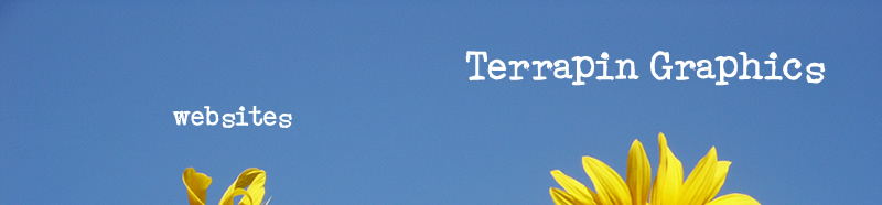 Terrapin Graphics Website Designs